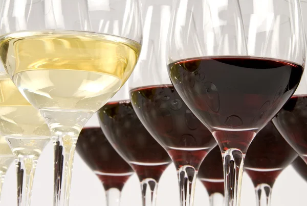 Degustación de vinos —  Fotos de Stock