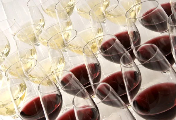 Şarap Tatma — Stok fotoğraf