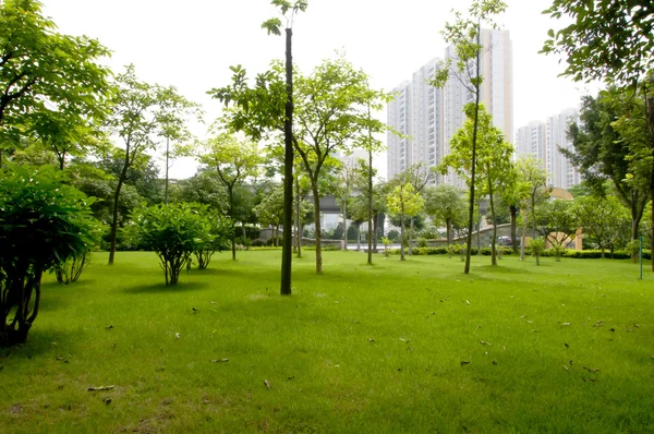 Den gröna parken — Stockfoto