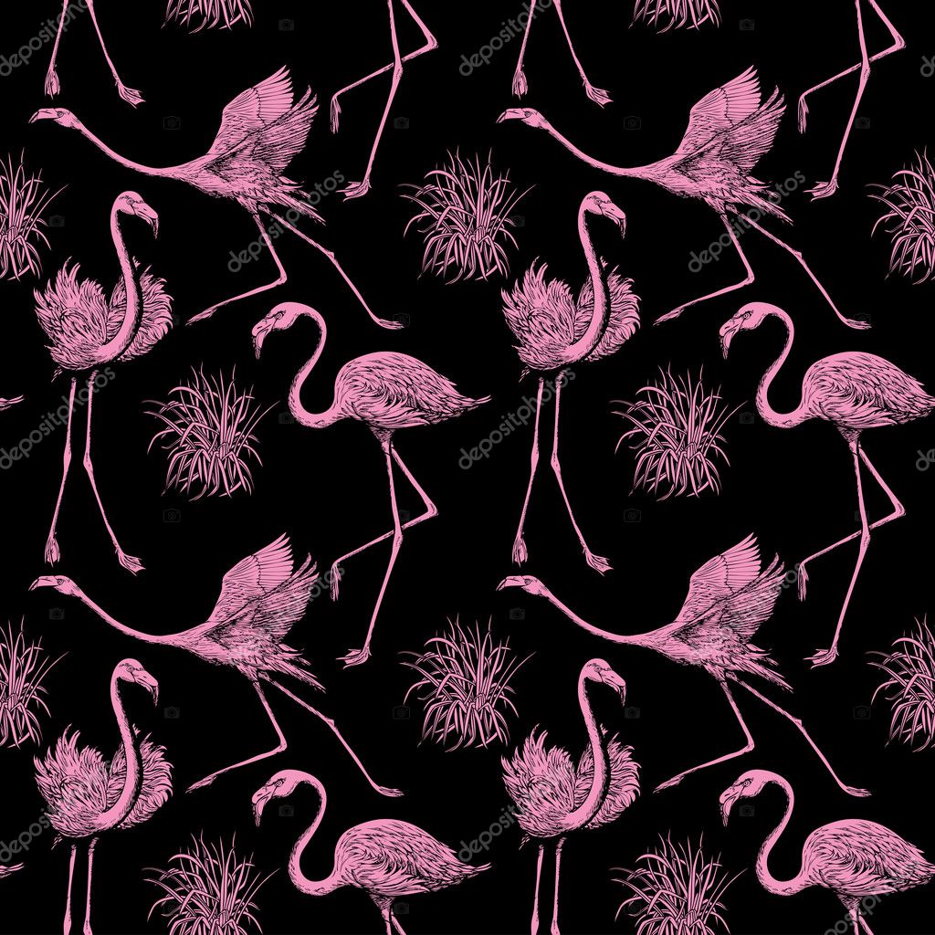 Abstract bird wallpaper  Abstract birds background 