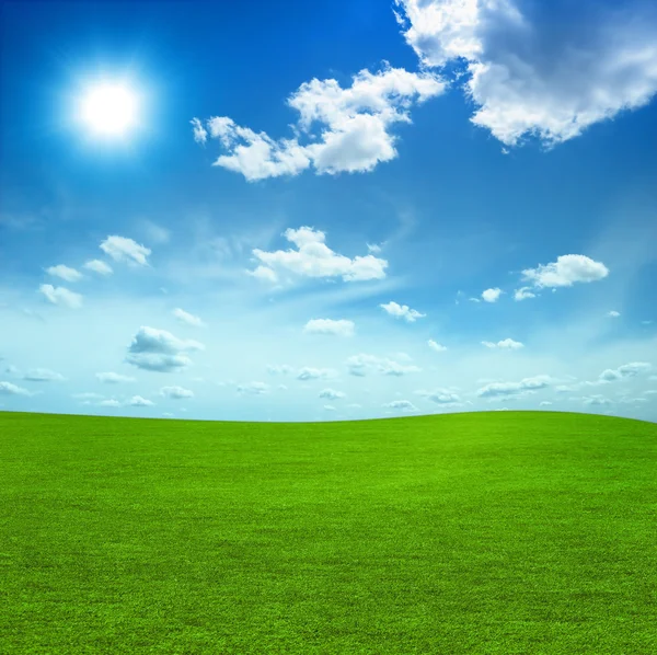 Céu bonito e grama — Fotografia de Stock