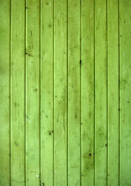 古い緑の木 — ストック写真