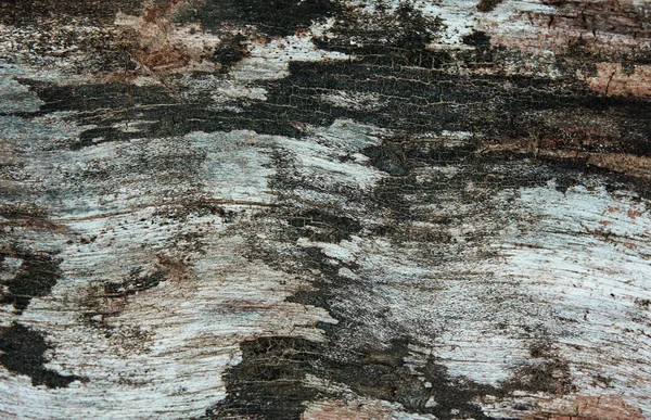 Latră veche — Fotografie, imagine de stoc