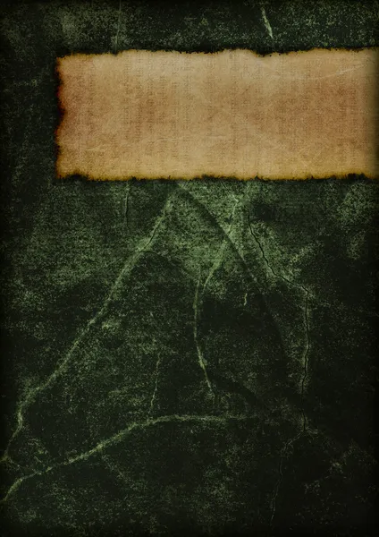 神秘书的封面-绿色 图库图片