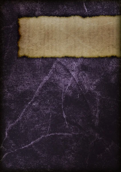 神秘书的封面-紫 — 图库照片