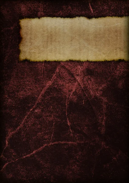 神秘书的封面-红色 — 图库照片
