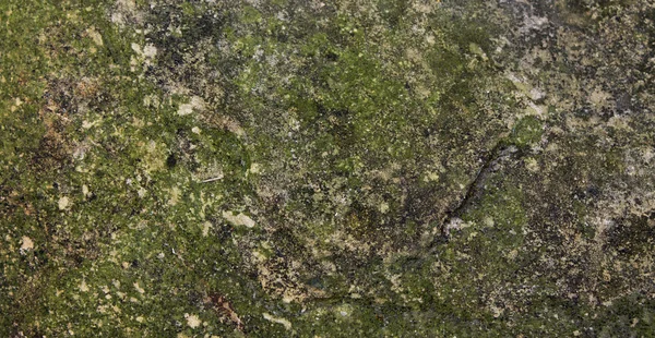 Pedra velha coberta de líquenes — Fotografia de Stock