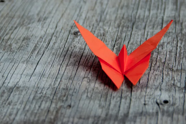 Бабочка Оригами — стоковое фото