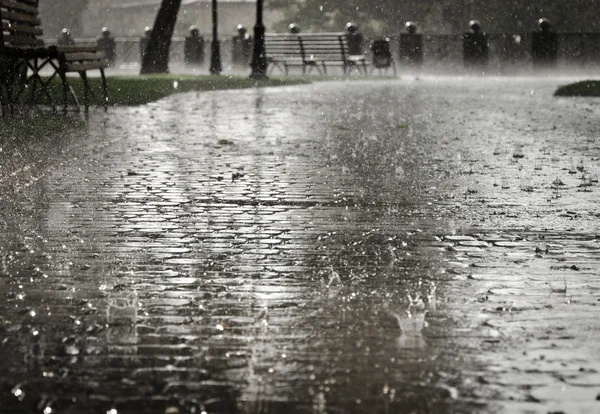 Duże opady deszczu Zdjęcie Stockowe