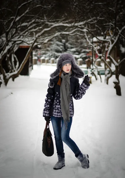 Skönhet i en winter park — Stockfoto