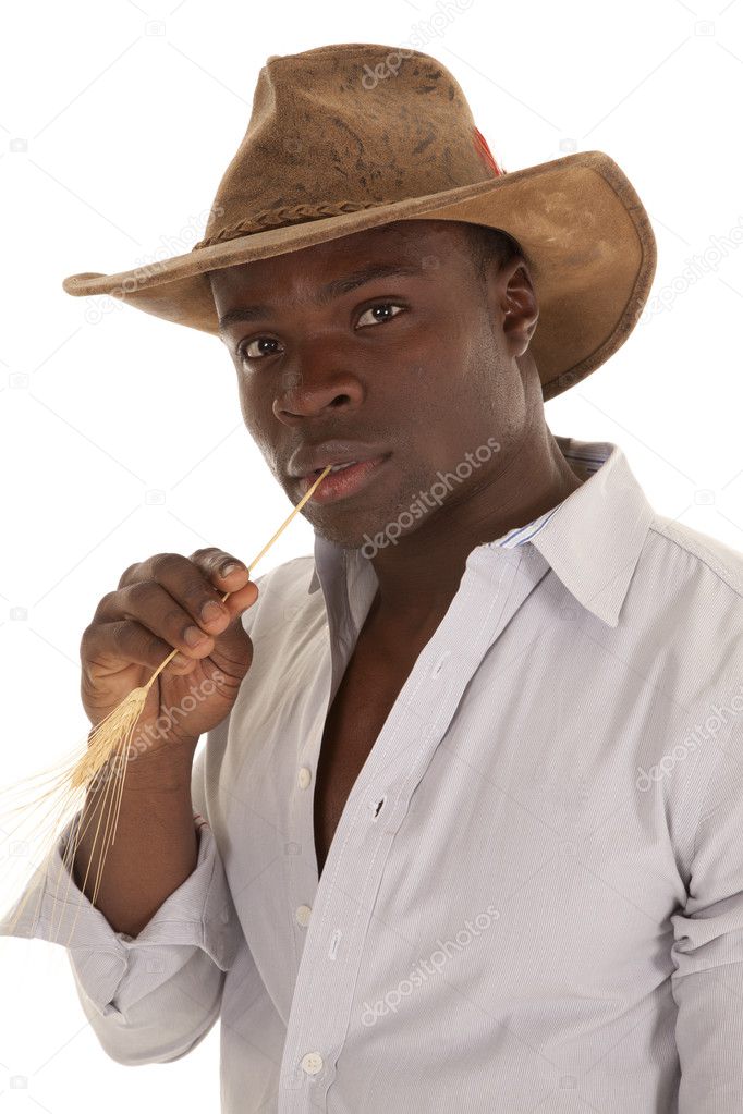 Cowboy wheat Stock Photo by ©alanpoulson 11947677