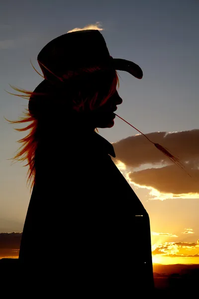 Cowgirl halm mun sunset — Stockfoto