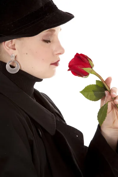 Sideview rose — Stock Photo, Image