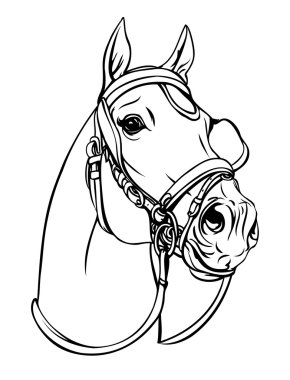 Horse head clipart