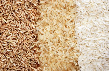 Three rows of rice varieties - brown, wild and white. clipart