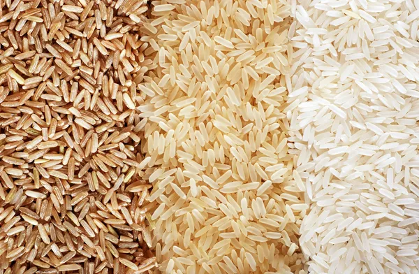 Trzy wiersze odmian ryżu - brązowy, dziki i biały. — Zdjęcie stockowe