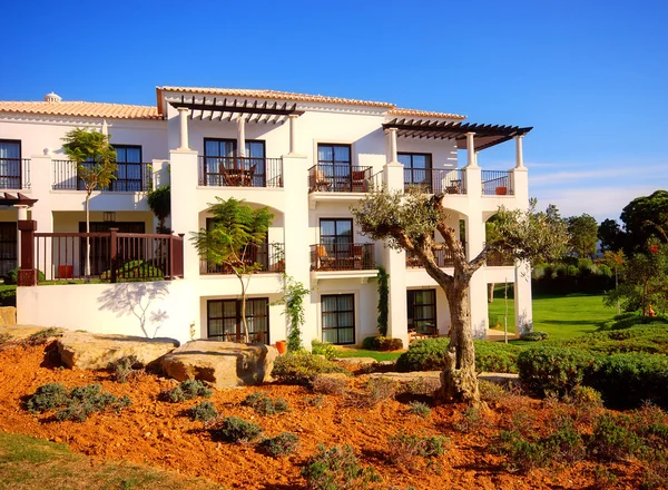 Белый роскошный дом, оливковое и голубое небо — стоковое фото