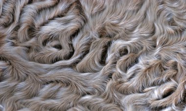 Lamb fur background clipart