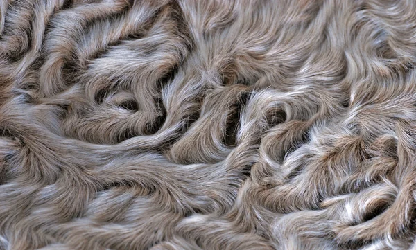 羔羊毛皮背景 — 图库照片