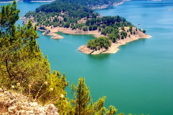 Pine tree island on the lake(Turkey). — Stock Photo, Image