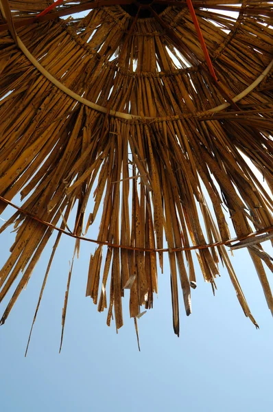 Stock image Beach Umbrella