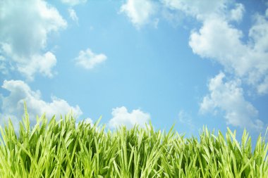 Grass on blue sky clipart