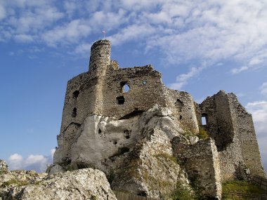 Castle Mirow clipart