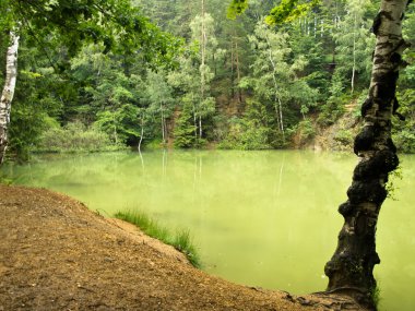 Rudawy Janowickie lake, Poland clipart