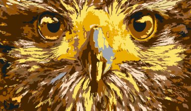 Eagle eyes clipart