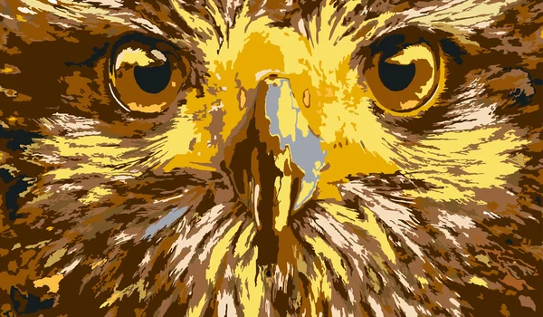 Eagle ogen — Stockvector