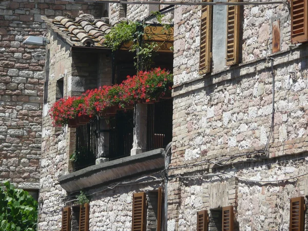 Kwietniki w assisi, Włochy — Zdjęcie stockowe