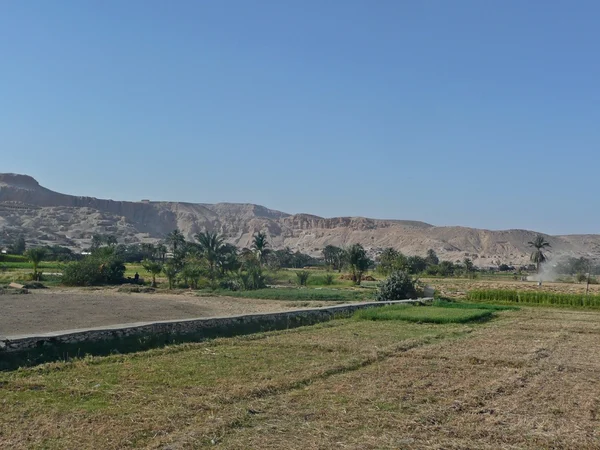 stock image Egyptian countryside