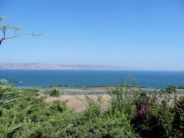 stock image Sea of Galilee, Israel