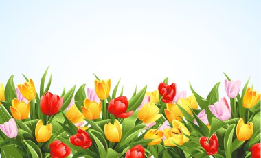 Flowers background clipart