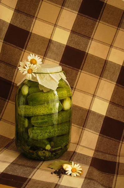Pickles med prästkragar — Stockfoto