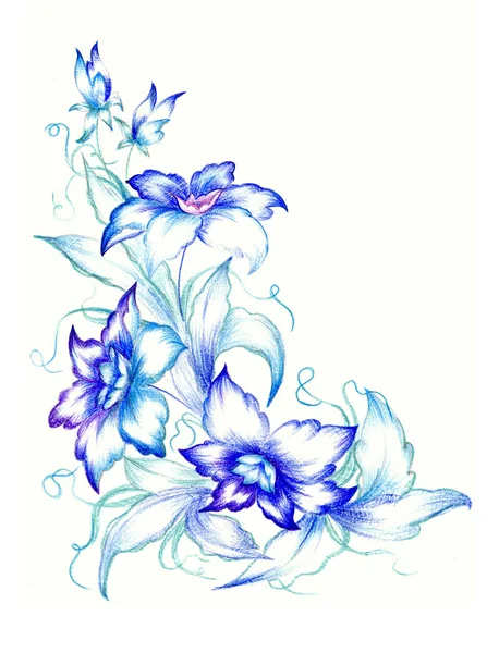 stock image Blue flowers on white background