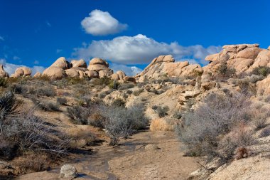 Joshua Tree National Park clipart