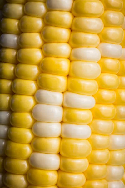 Close-up of Delicous Varigated Sweetcorn — Stock Photo, Image