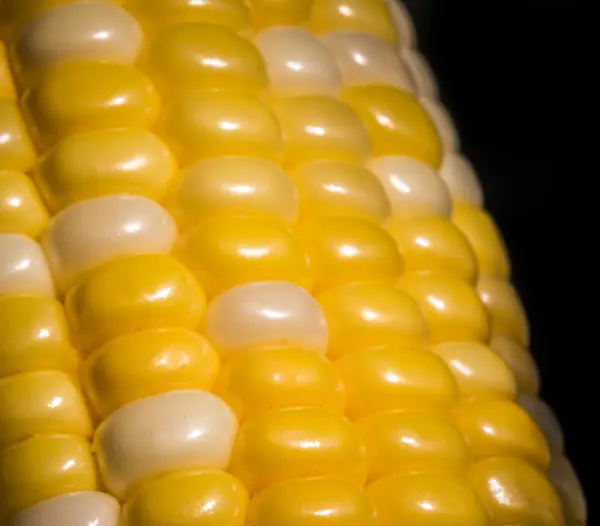 Close-up of Delicous Varigated Sweetcorn — Stock Photo, Image