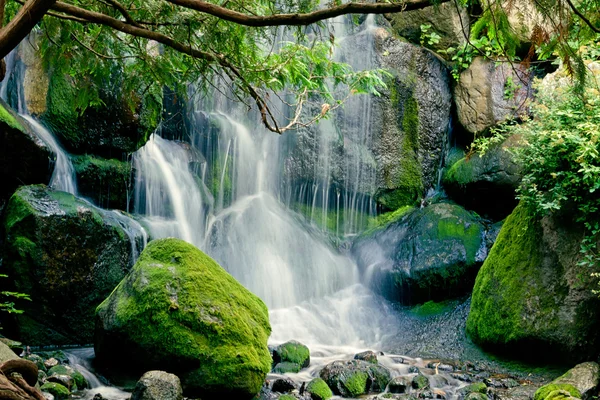 Спокойный водопад — стоковое фото