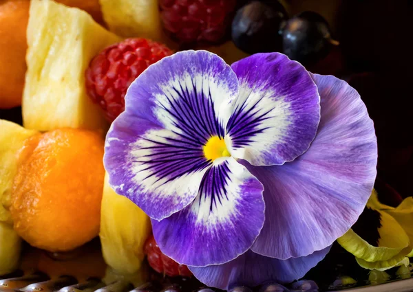 Stock image Purple Orchid on Serving Dish