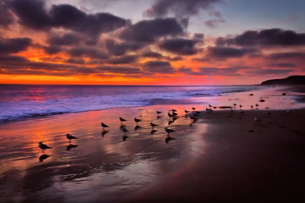 Pacific Sunset — Stock Photo, Image