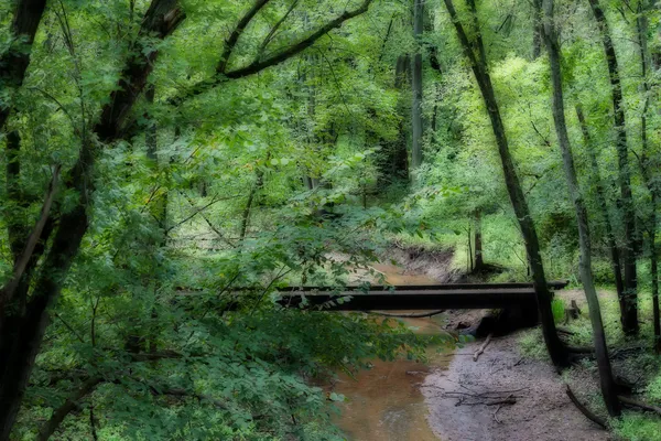 Bro i skogen — Stockfoto