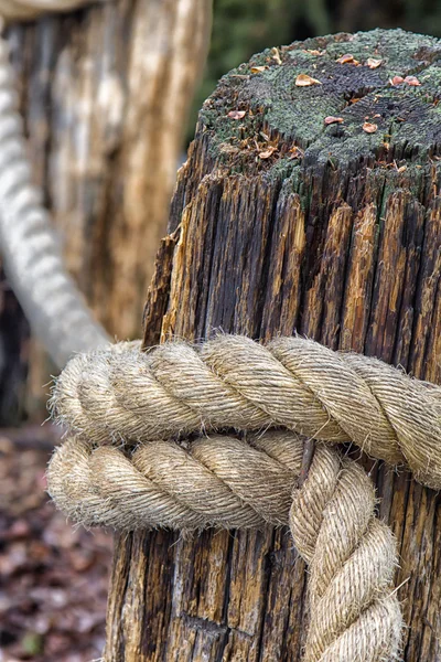 두꺼운 로프 — 스톡 사진