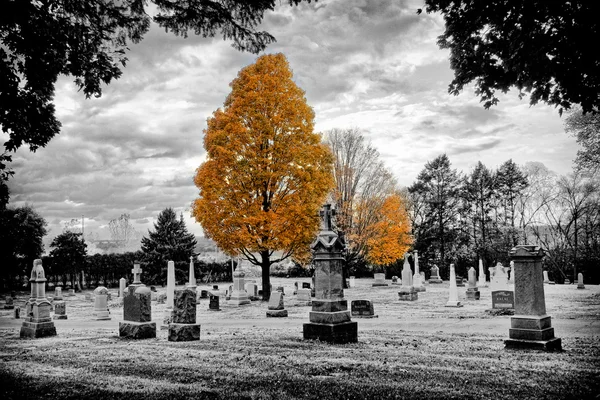Herfst begraafplaats — Stockfoto
