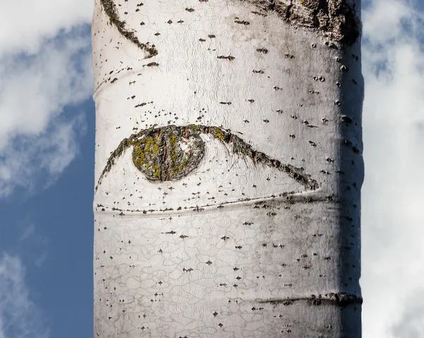 stock image Aspen Eye