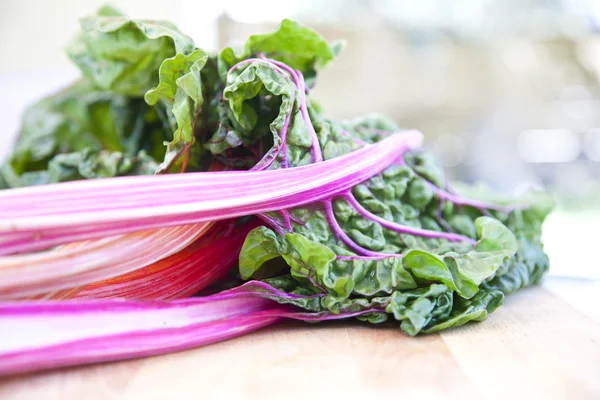 stock image Fresh garden swiss chard ready for cooking