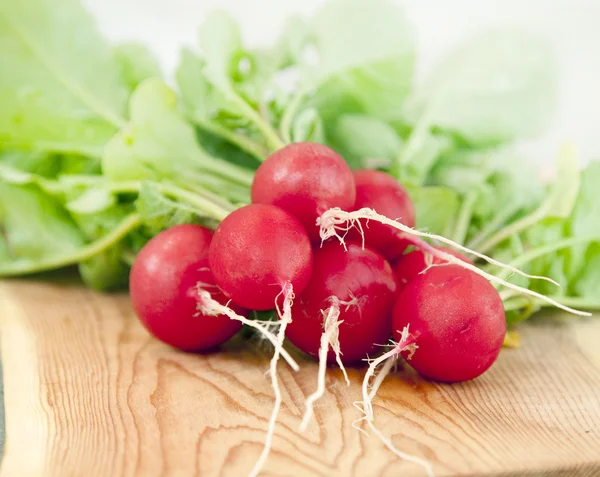 stock image Fresh red radishes from the garden