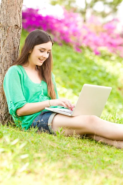 Young beautiful woman using laptop Stock Picture