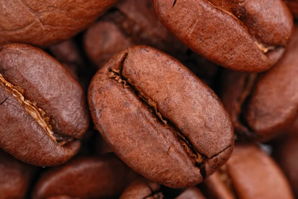 Coffee beans macro photo — Stock Photo, Image